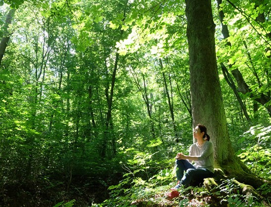 スクリーンショット 2025-10-12 154241